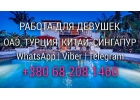 В Дубай за деньгами Срочный набор девушек в елитные ночные заведения волшебного