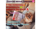 Работа для девушек в дружной команде