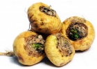 Купить Маки перуанской экстракт