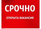 Менеджер интернет-проекта.